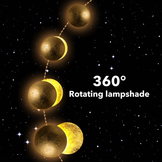 Phases of Moon Wall Light