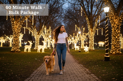 girl brown hair tattoos checkerd vans jeans not ripped white trshit walking dog at park with christmas lights saying 60 minute walk-bulk package